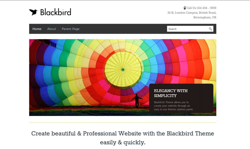 Blackbird theme for writers and authors
