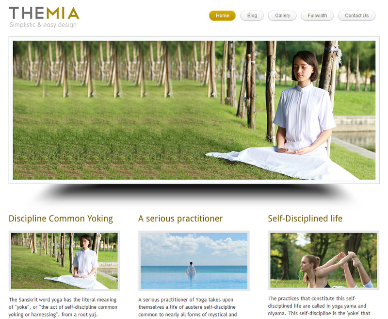 Themia theme for writers and authors